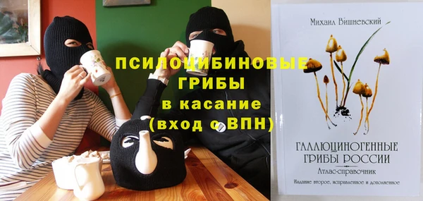 эйфоретик Куйбышев