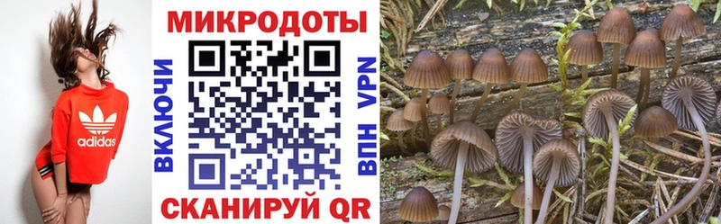 Псилоцибиновые грибы Cubensis  Кумертау 