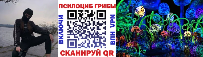 Галлюциногенные грибы Psilocybe Кумертау